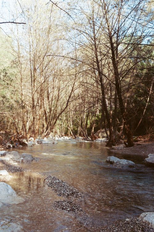 Free A peaceful forest stream flowing through a tranquil autumn wilderness setting. Stock Photo