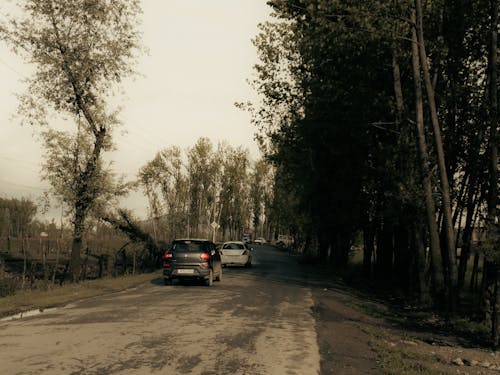Cars on a Country Road 