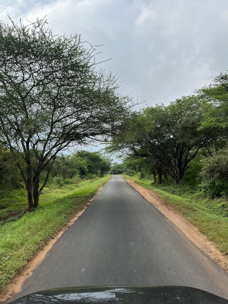 A Car Driving On An Asphalt Road Between Trees And Meadows 