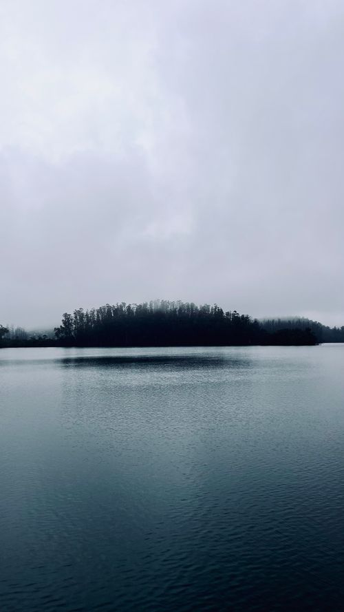 Free A tranquil scene of a lake with reflections and a distant woodland under an overcast sky. Stock Photo