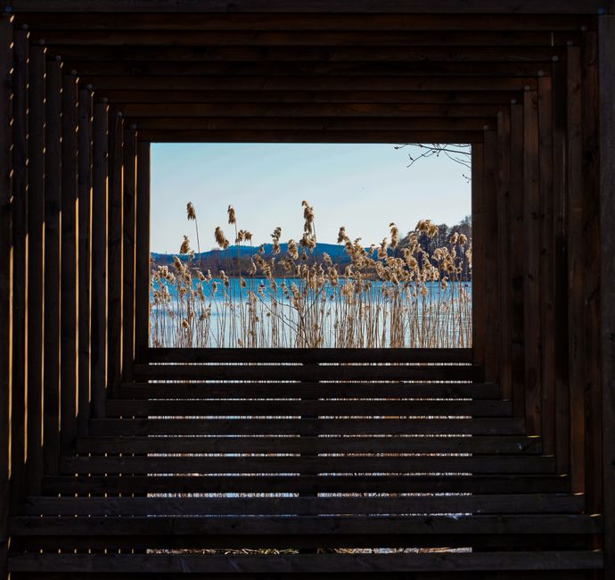 Beautiful framed view of a lake with reeds, captured through wooden structure.