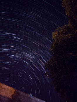 Captivating star trails in the São Paulo night sky with a silhouetted tree.