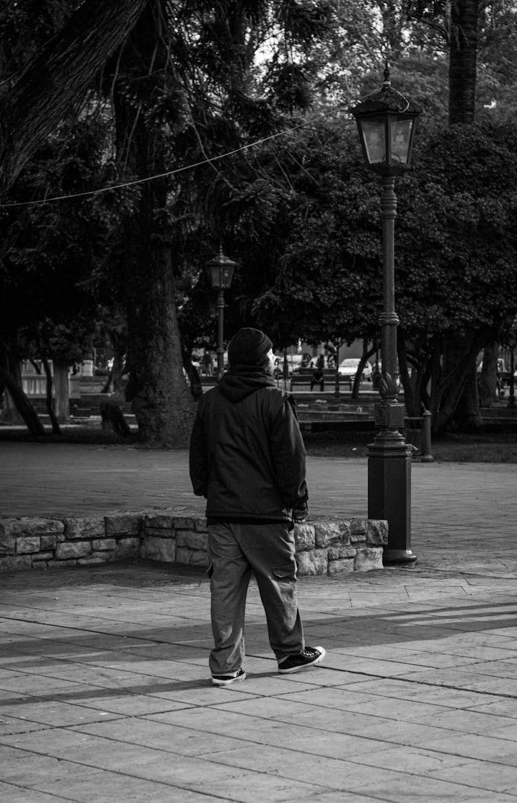 Man Walking In Park