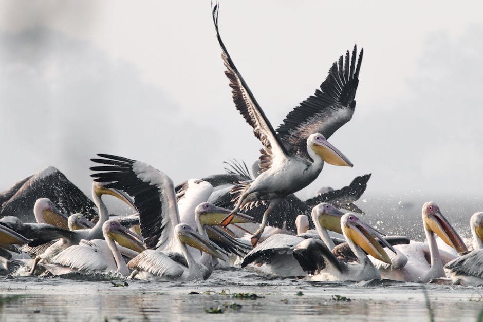 Remarkable Demonstrations of Memory and Adaptability in Animals