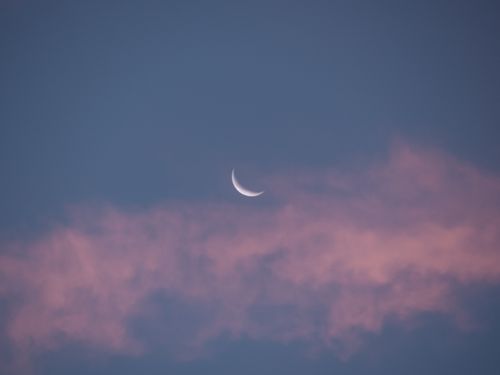Free A serene crescent moon amid pink clouds during dusk. Perfect for tranquil and nature themes. Stock Photo