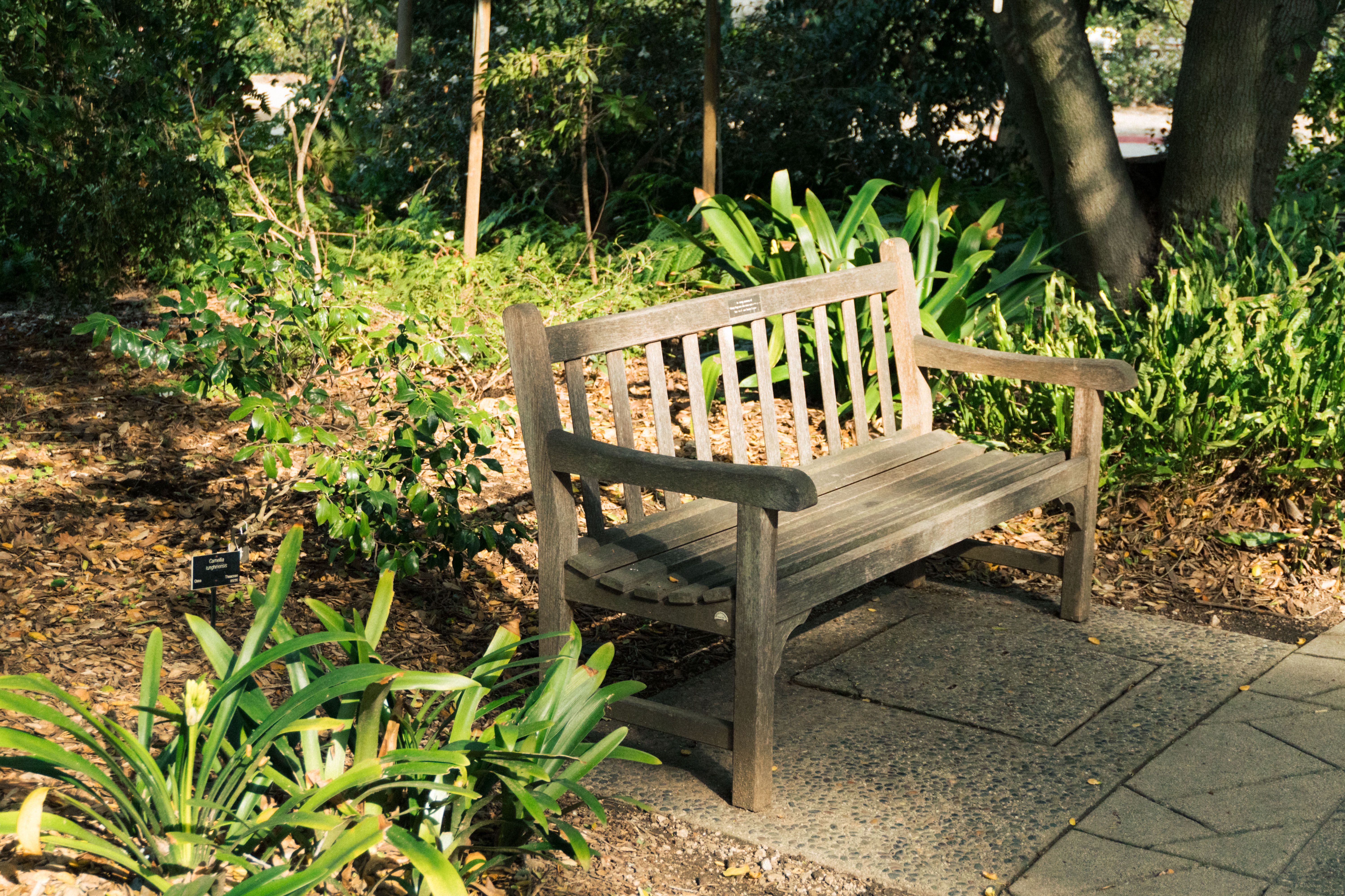 4 Best Garden Benches (2026)