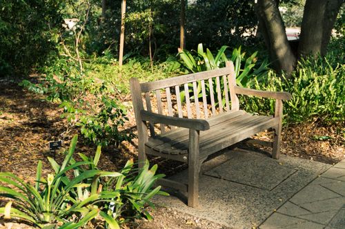 Free A wooden bench bathed in sunlight in a lush garden setting, perfect for relaxation. Stock Photo