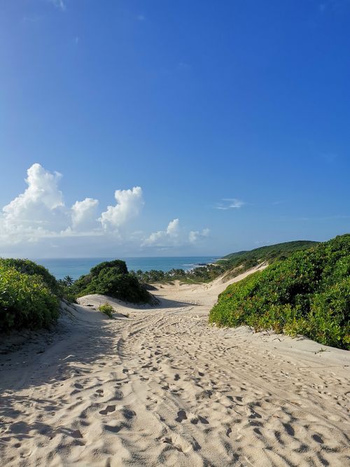 Free A tranquil scene of sandy dunes and lush vegetation with a clear view of the Baía Formosa coastline. Stock Photo