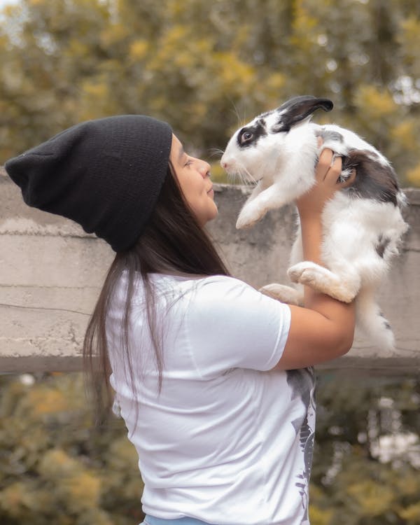 兔子, 動物, 可愛 的 免费素材图片