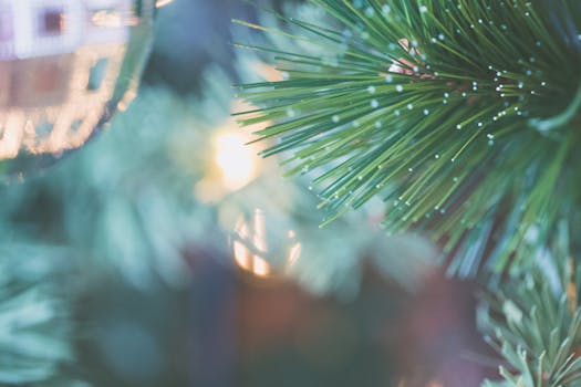 节日灯光背景下松针的详细特写镜头