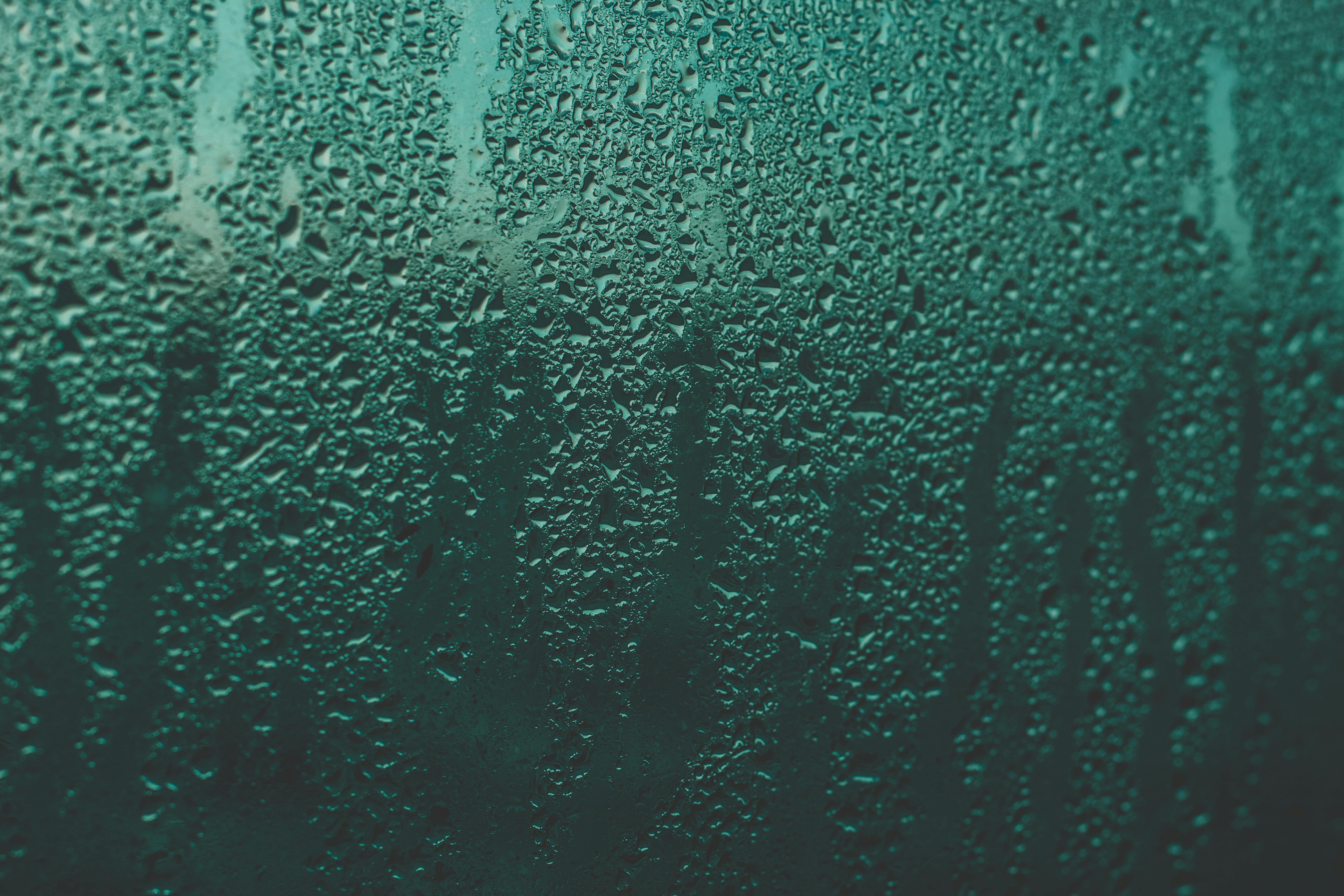 Kostenloses Foto zum Thema fenster, feuchtigkeit, nass