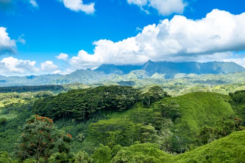 güzel manzara, havadan görünüş, Hawaii içeren Ücretsiz stok fotoğraf