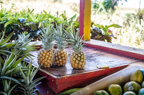 Ananas, ananaslar içeren Ücretsiz stok fotoğraf