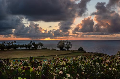 Kostenloses Stock Foto zu aussicht, goldenen sonnenuntergang, hawaii