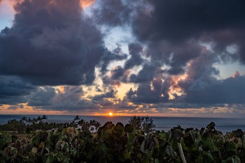 Kostenloses Stock Foto zu aussicht, goldenen sonnenuntergang, hawaii