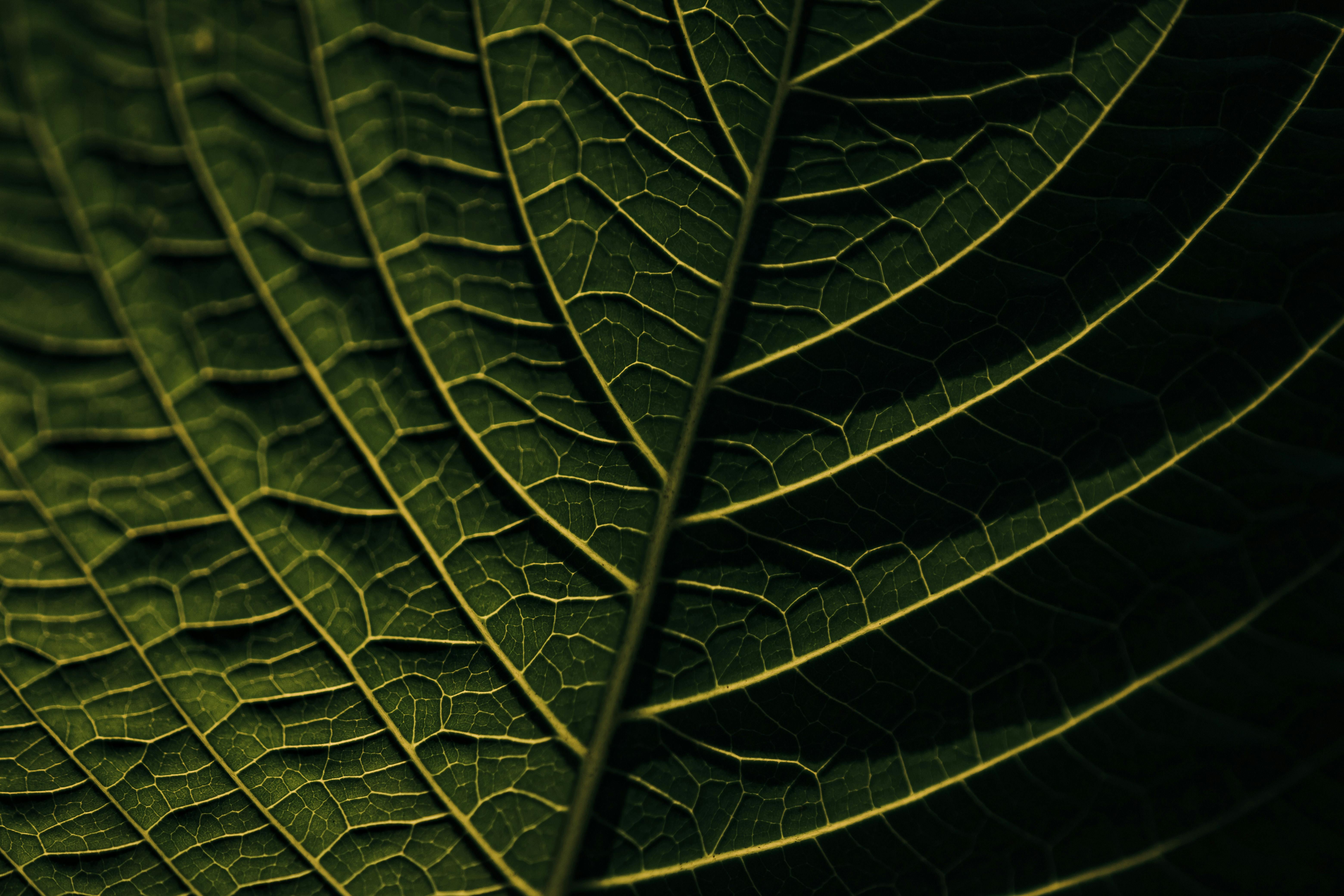 Data Structure Photos, Download The BEST Free Data Structure Stock ...