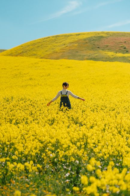 A woman with outstretched arms stands in a vibrant yellow flower field, capturing the essence of spring.