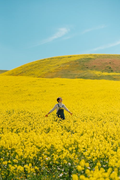 A Woman Standing in a Vast Yellow Flower Field 