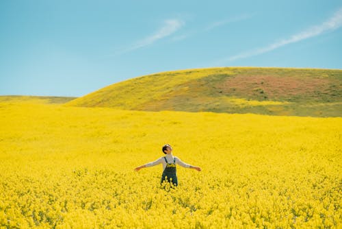 Eine Frau, Die In Einem Feld Mit Gelben Blumen Steht