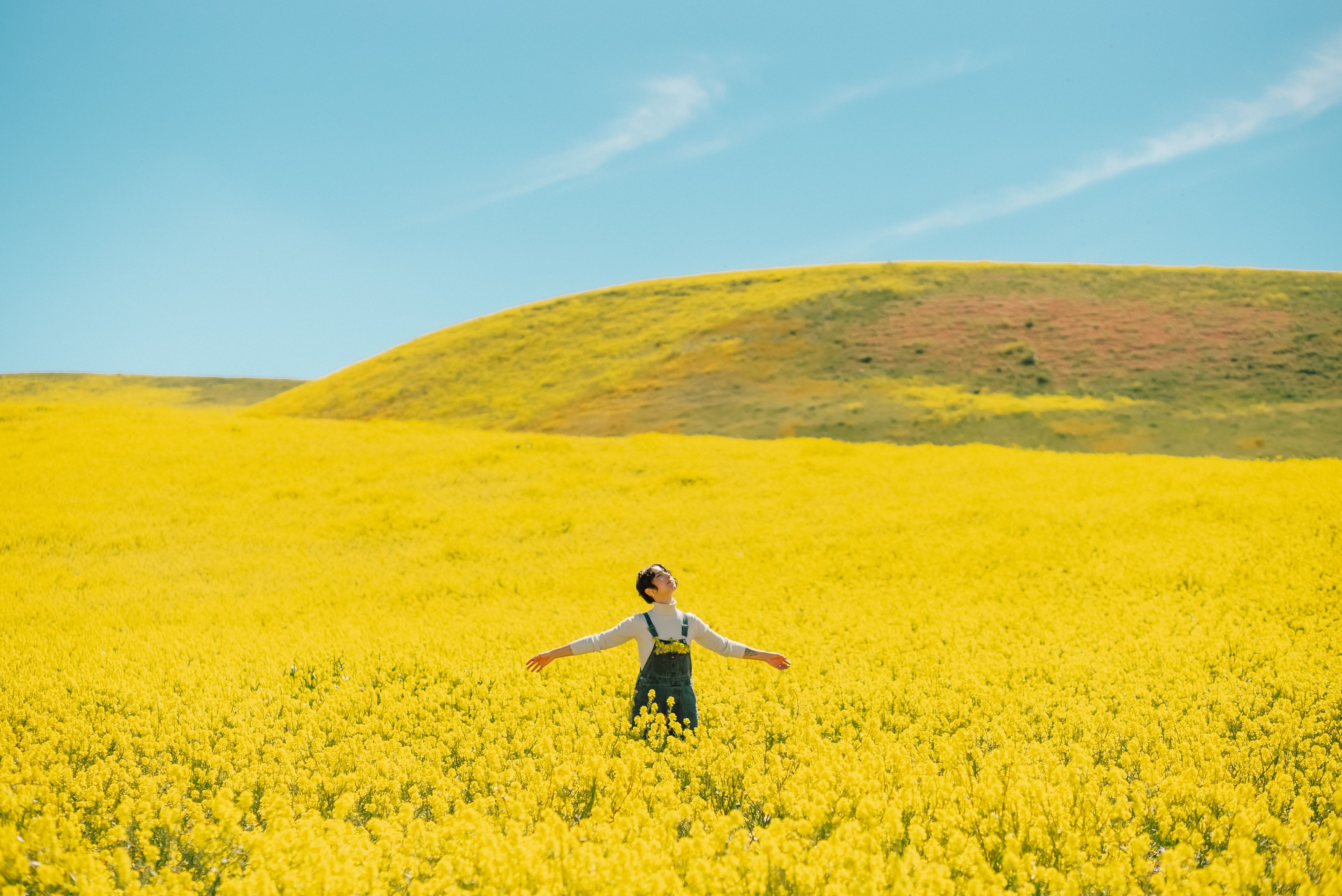 A Woman Standing in a Field of Yellow Flowers · Free Stock Photo