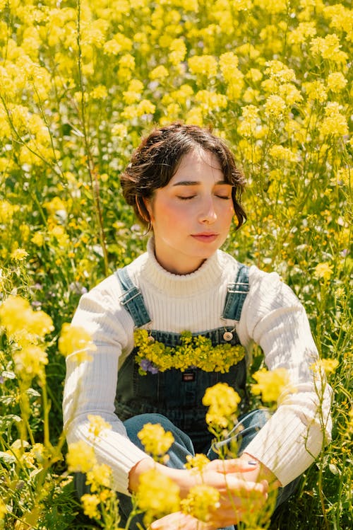 Fotos de stock gratuitas de campo, canola, flores