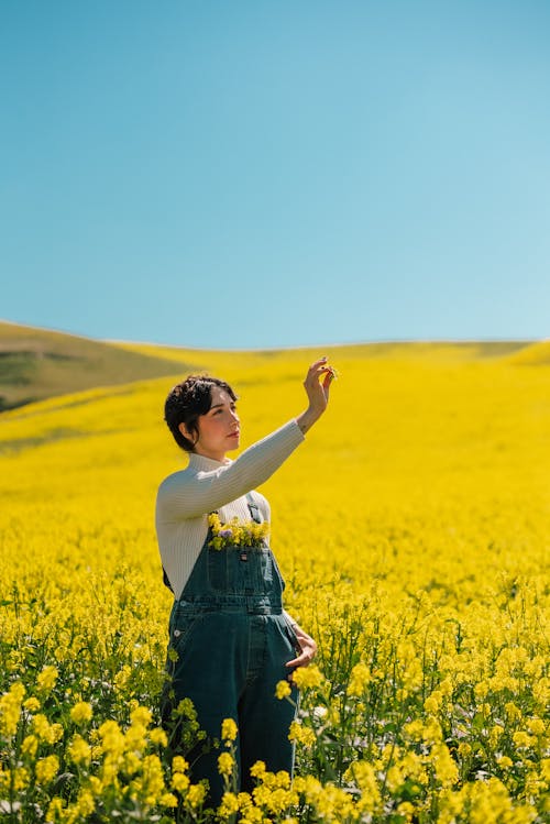 Ein Weibliches Modell, Das In Einem Blühenden Blumen Feld Aufwirft