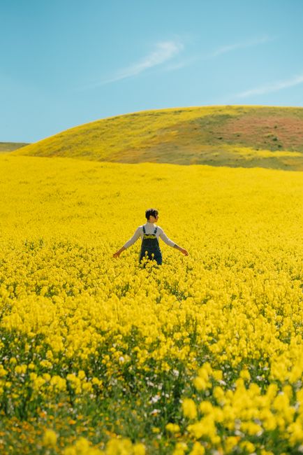 Woman standing arms outstretched in a vibrant rapeseed field under blue sky.