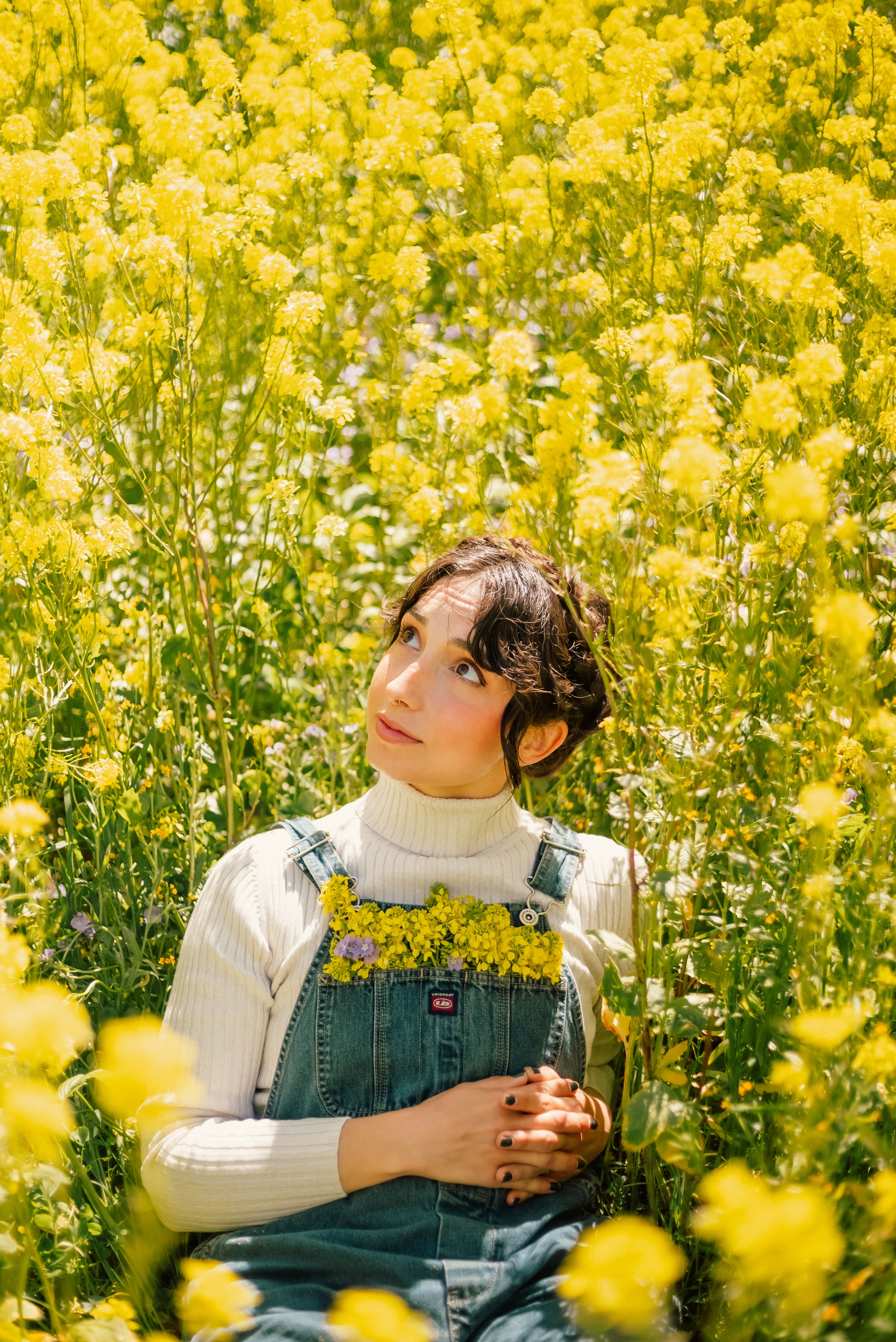 A Woman Standing in a Field of Yellow Flowers · Free Stock Photo