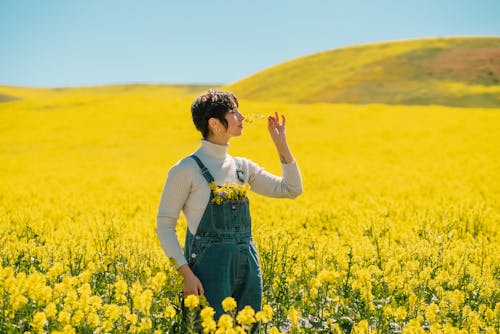 Foto profissional grátis de aroma, campo de flores, cheirando