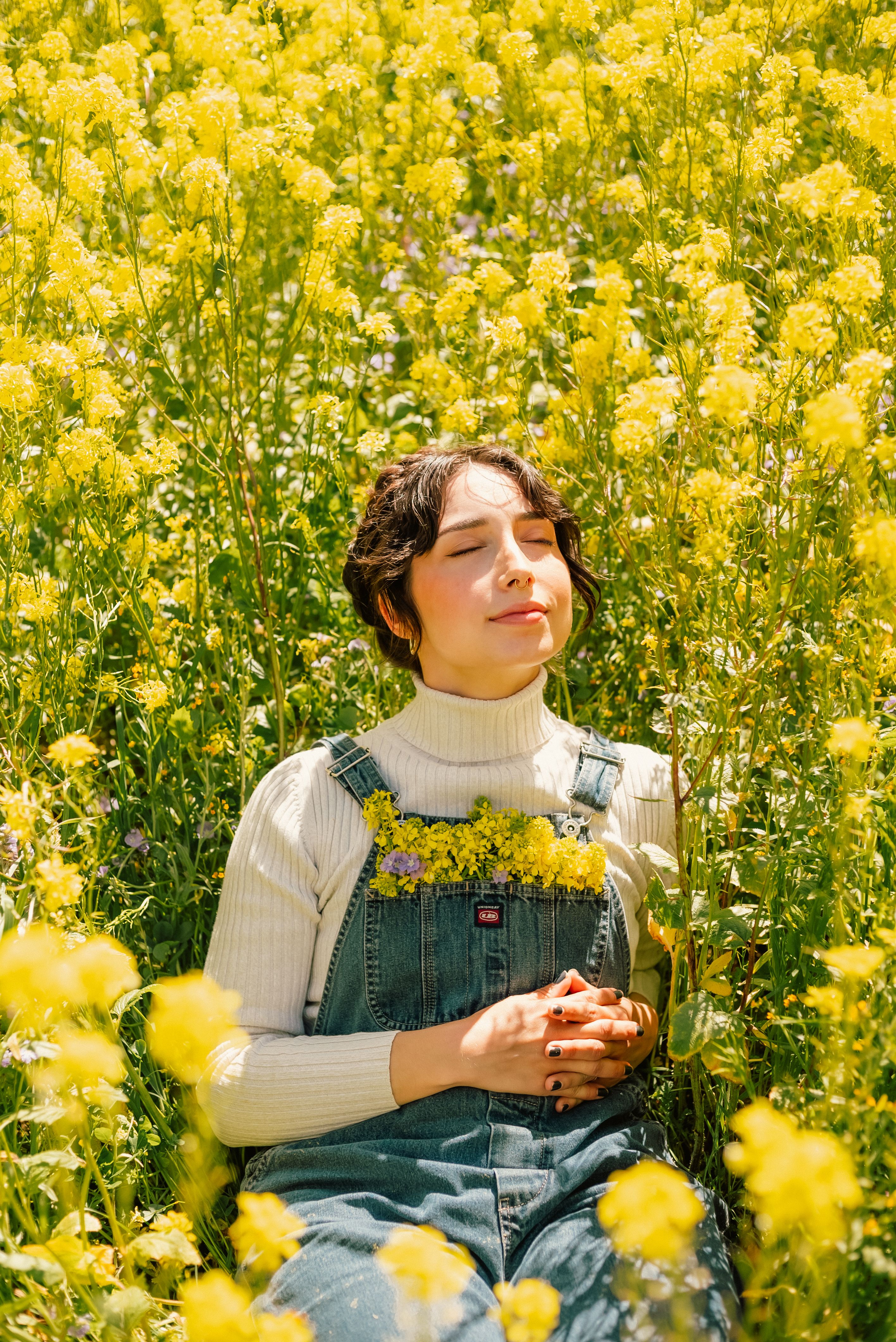 A Young Woman Sitting in a Yellow Flower Field · Free Stock Photo