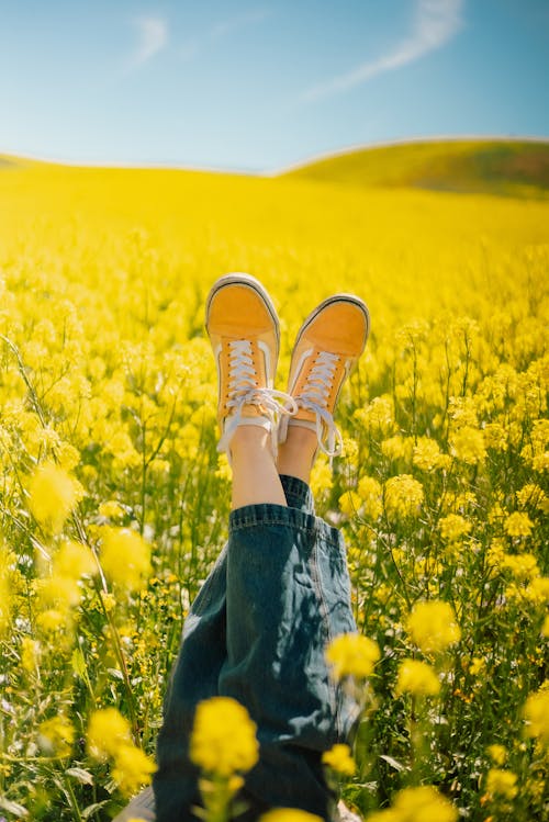 黄色い花畑に足を上げて横たわる人