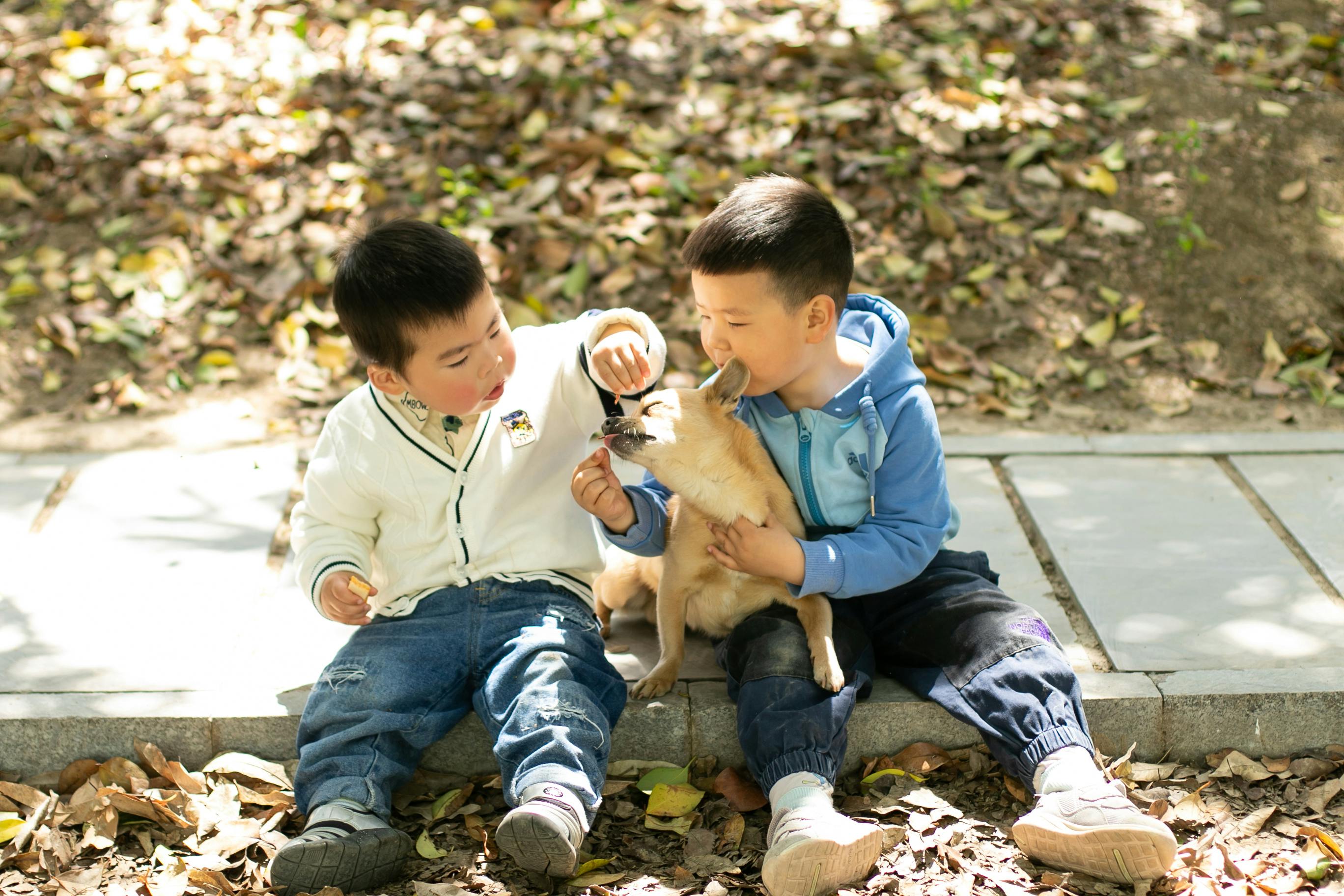 pet technology limited — Photo by 晶 朱 on Pexels