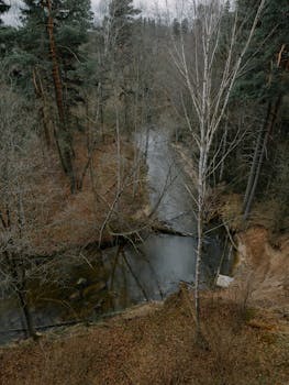 A tranquil aerial shot of Tērvete forest with a serene river surrounded by autumn trees.