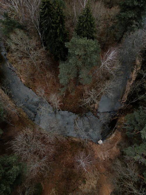 Drone Shot of a River in the Forest in Autumn 