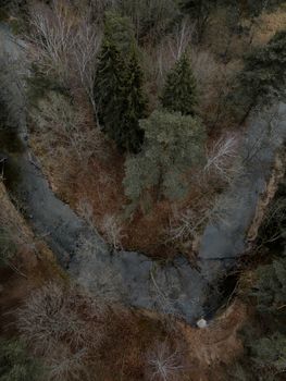 Drone shot capturing the tranquil autumn landscape of Tērvete forest, Latvia.