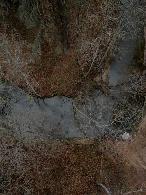 Aerial Photo of a River in the Autumn Forest