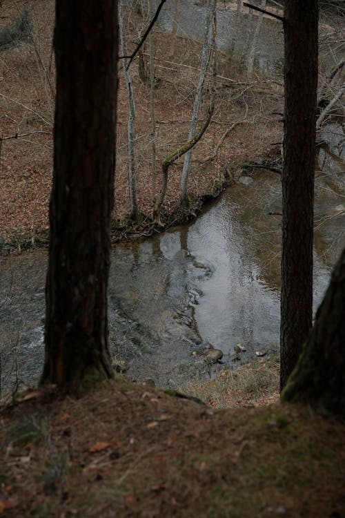 Ilmainen kuvapankkikuva tunnisteilla erämaa, joki, luonto