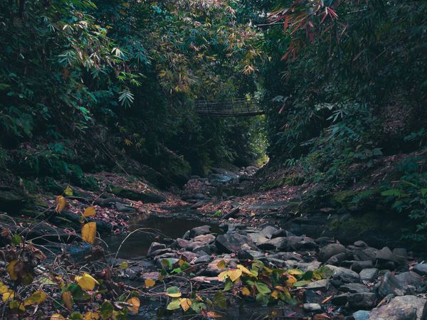 Shillong - Meghalaya 7N8d - Transfers