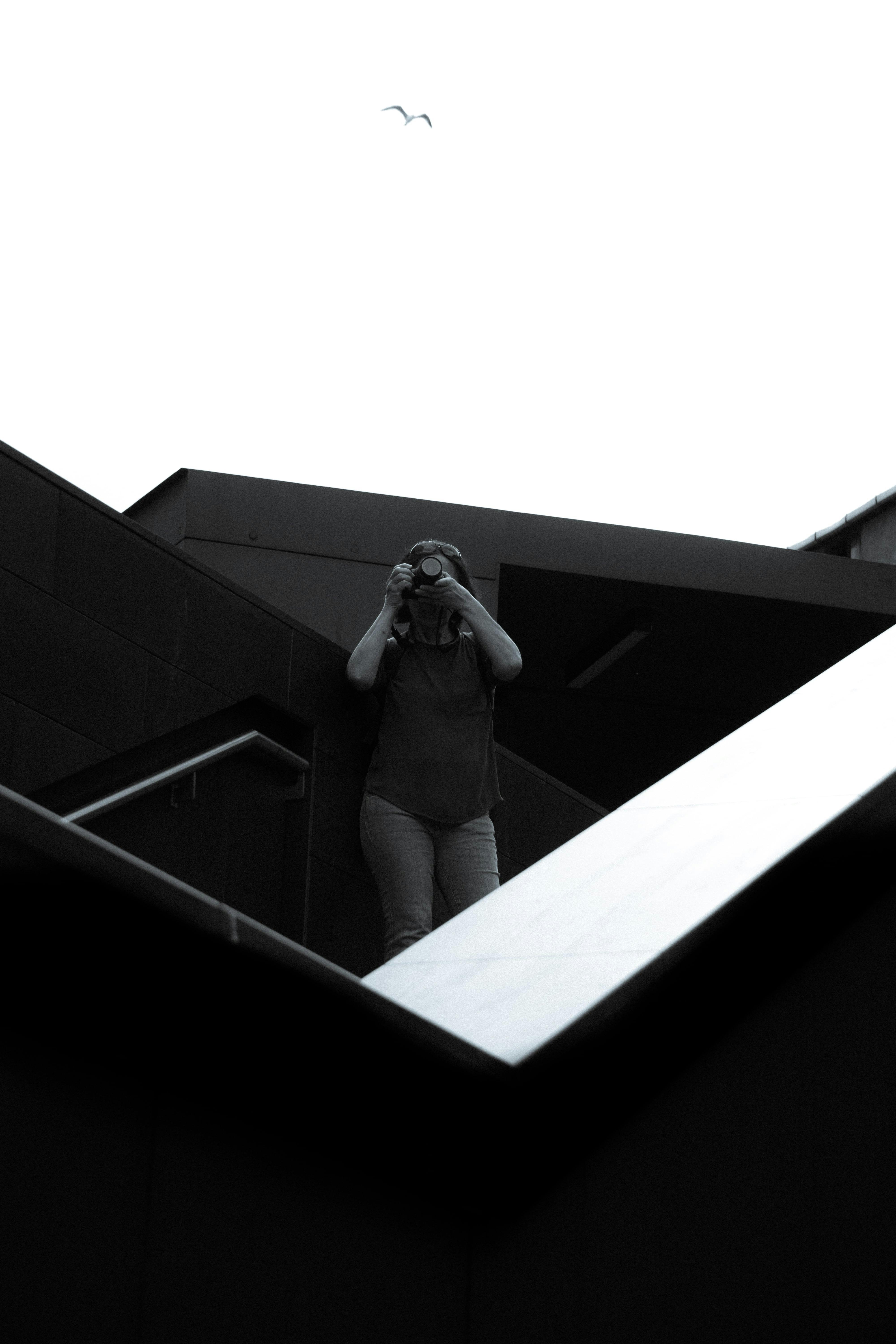 免费 作文, 側面, 剪影 的 免费素材图片 素材图片