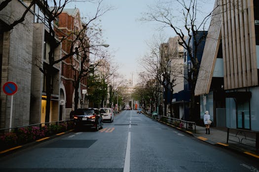 A quiet Tokyo street with parked cars and trees on a chilly morning.