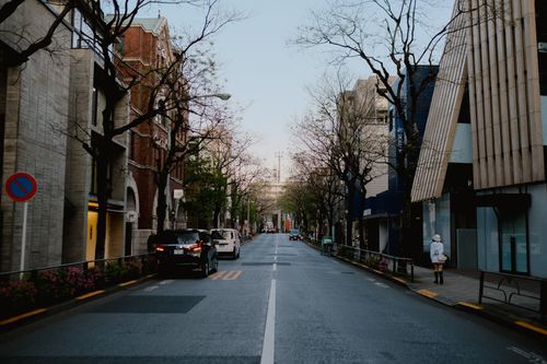 Free A quiet Tokyo street with parked cars and trees on a chilly morning. Stock Photo