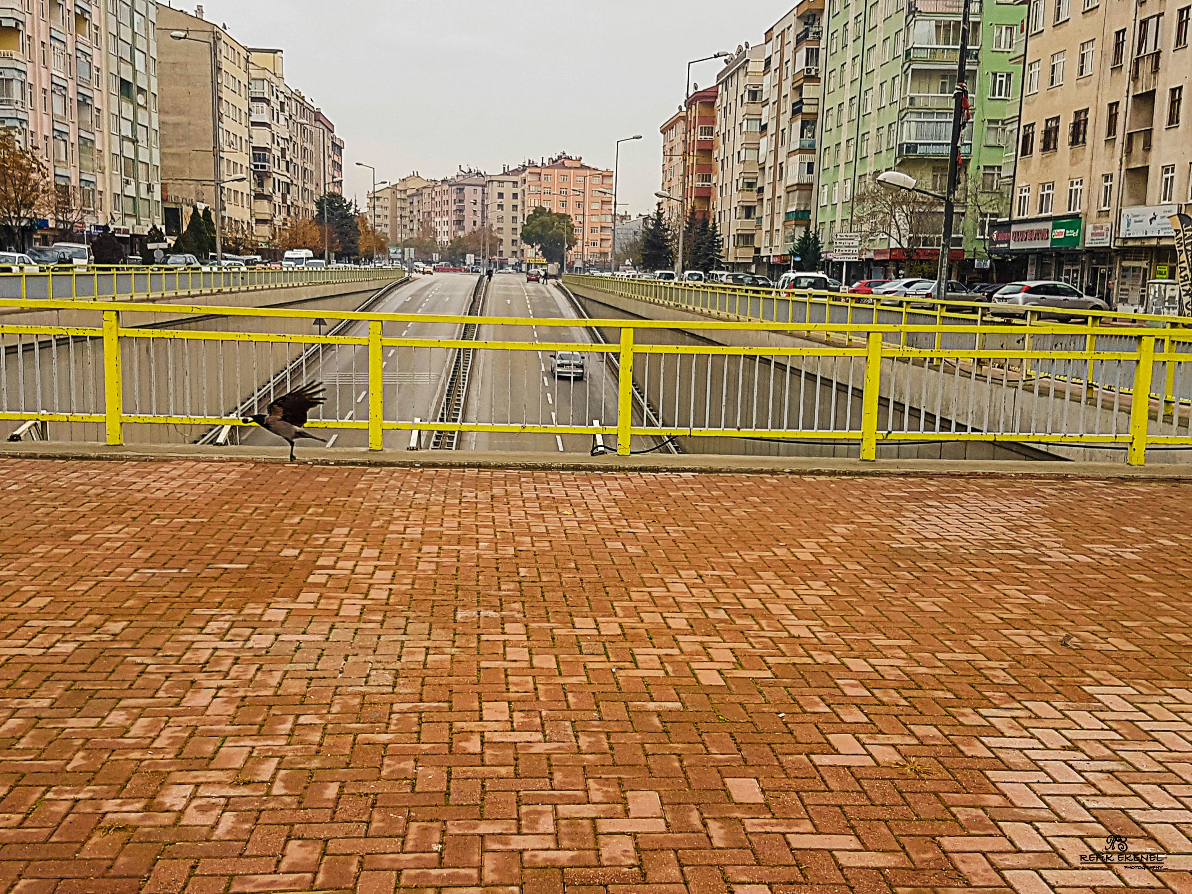 Dragor old fishing village