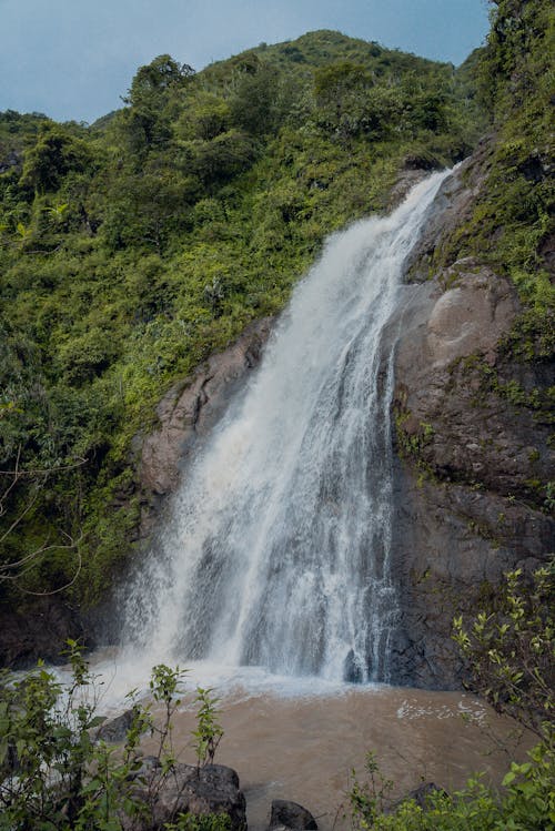 Waterfall on Rocks in Forest