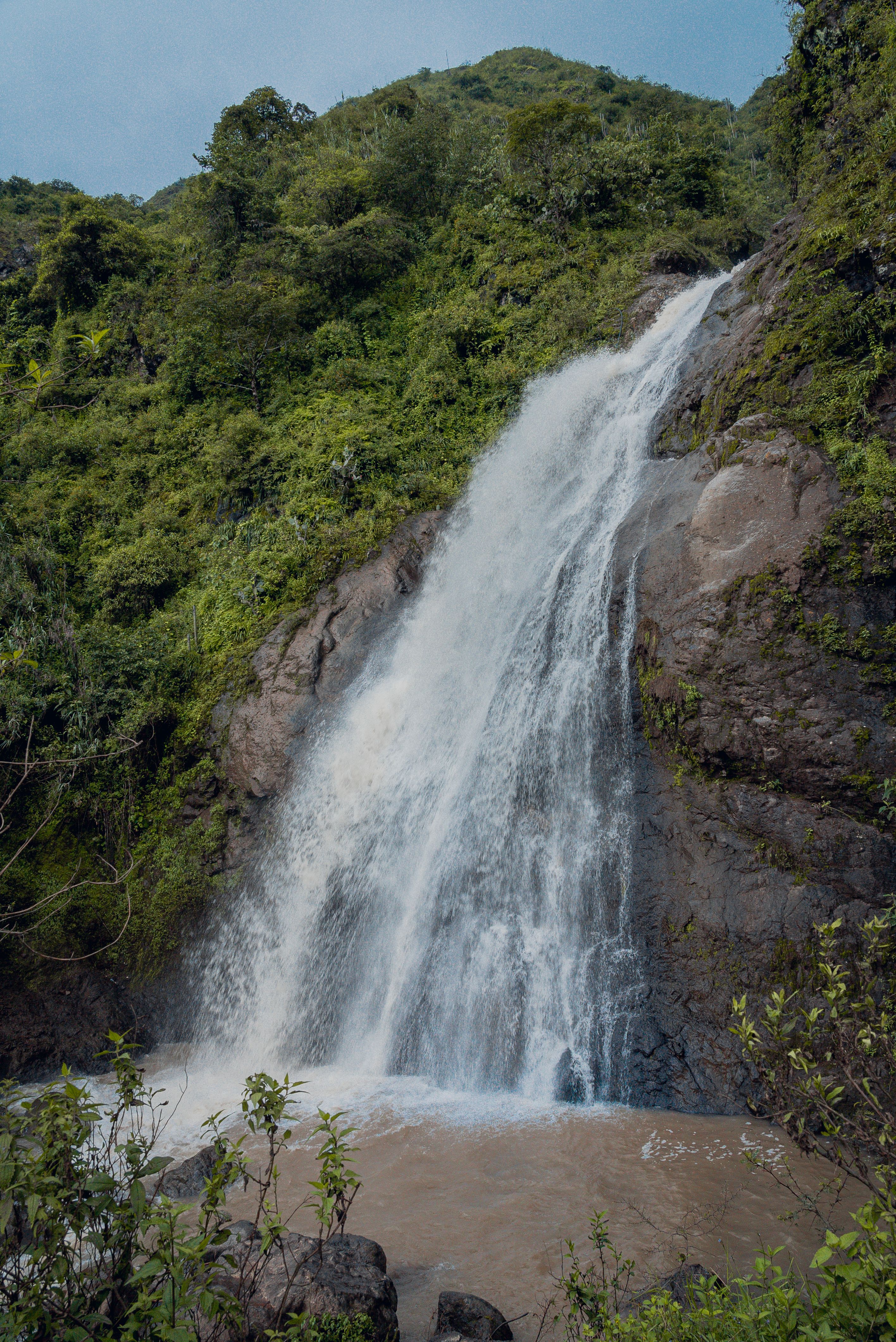 A waterfall is seen in the middle of a lush green area · Free Stock Photo