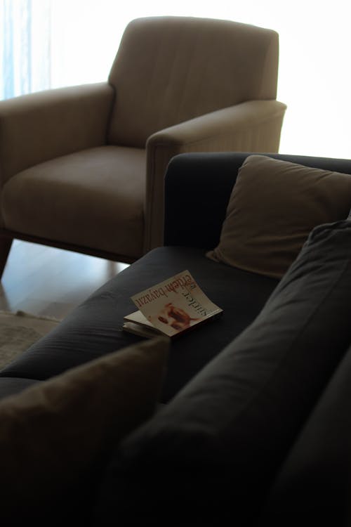單人沙發, 國內房間, 垂直拍攝 的 免費圖庫相片