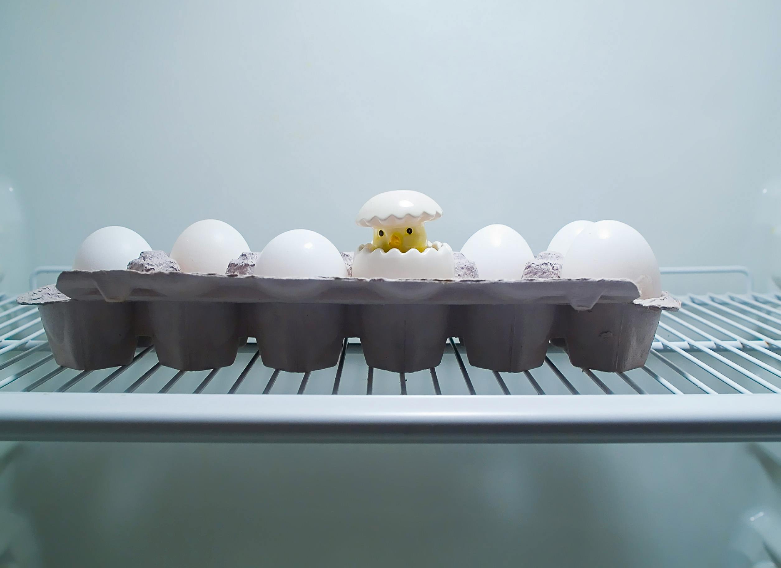 A whimsical egg carton with a toy chick inside a refrigerator, New York.