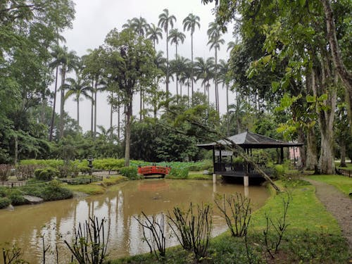 Free stock photo of botanical garden, brasil, brazil