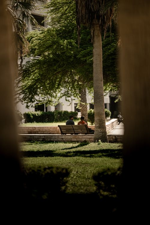 Free Two people relax on a bench in a lush green park in Kuwait City during summer. Stock Photo