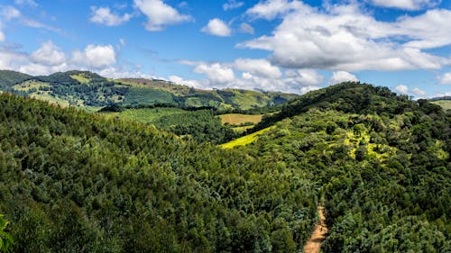 Foto profissional grátis de árvores, cadeia de montanhas, céu