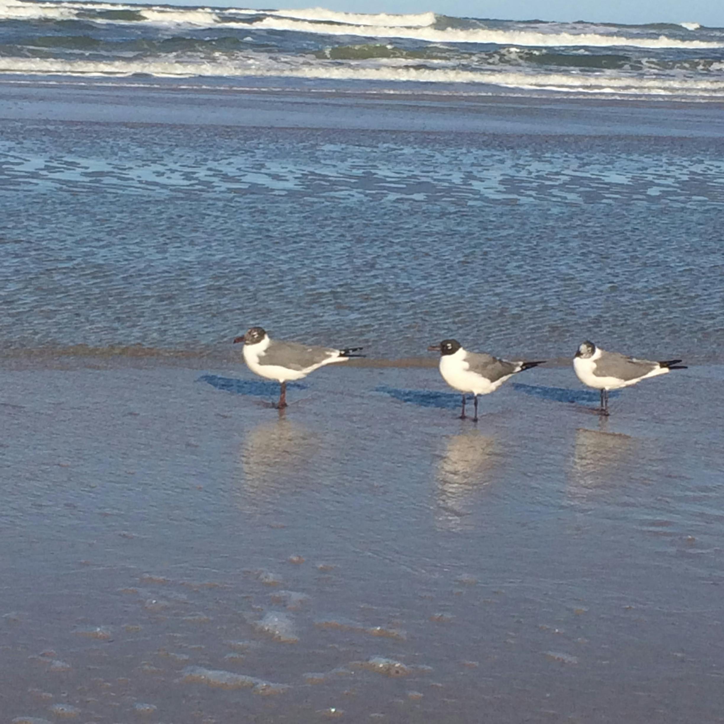 Nintendo Switch console in gaming setup